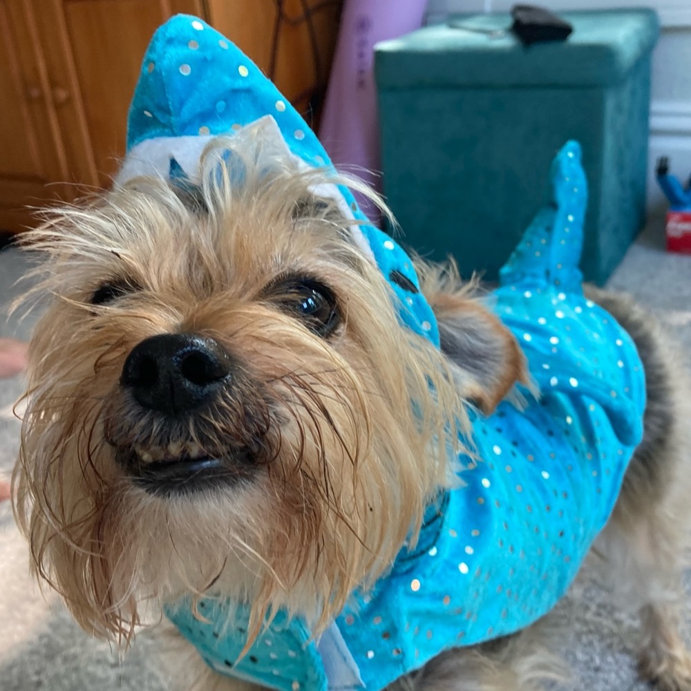 Summertime! Time to shop for sandals and tees!